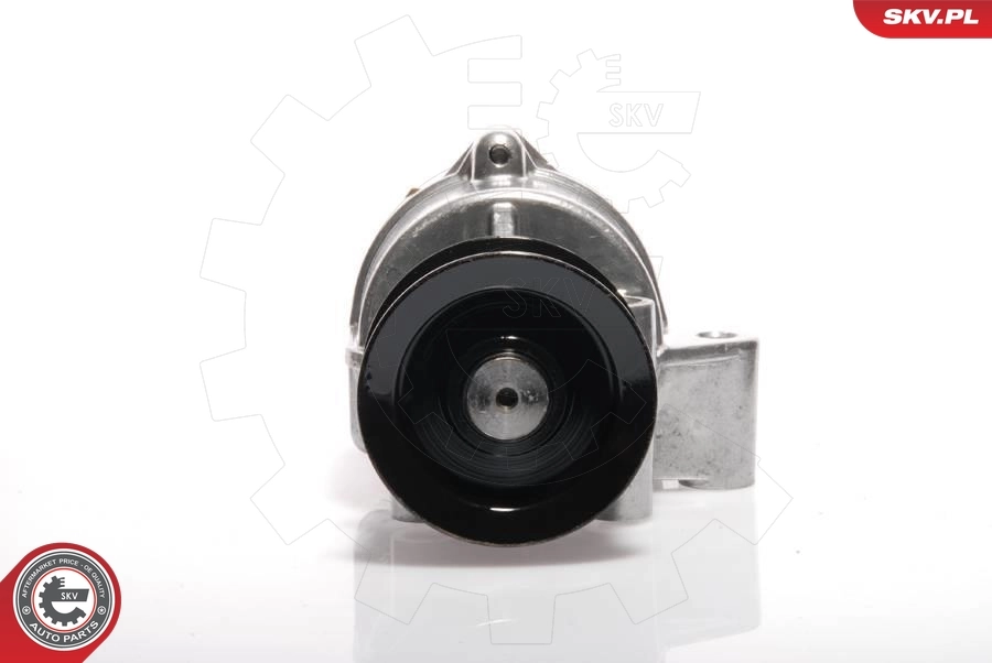 Vacuum Pump, braking system